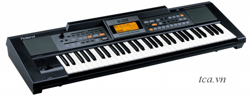 ĐÀN ORGAN ROLAND E-09W (BLACK), MUA BAN DAN ORGAN ROLAND E 09W, MUA ĐÀN ORGAN 