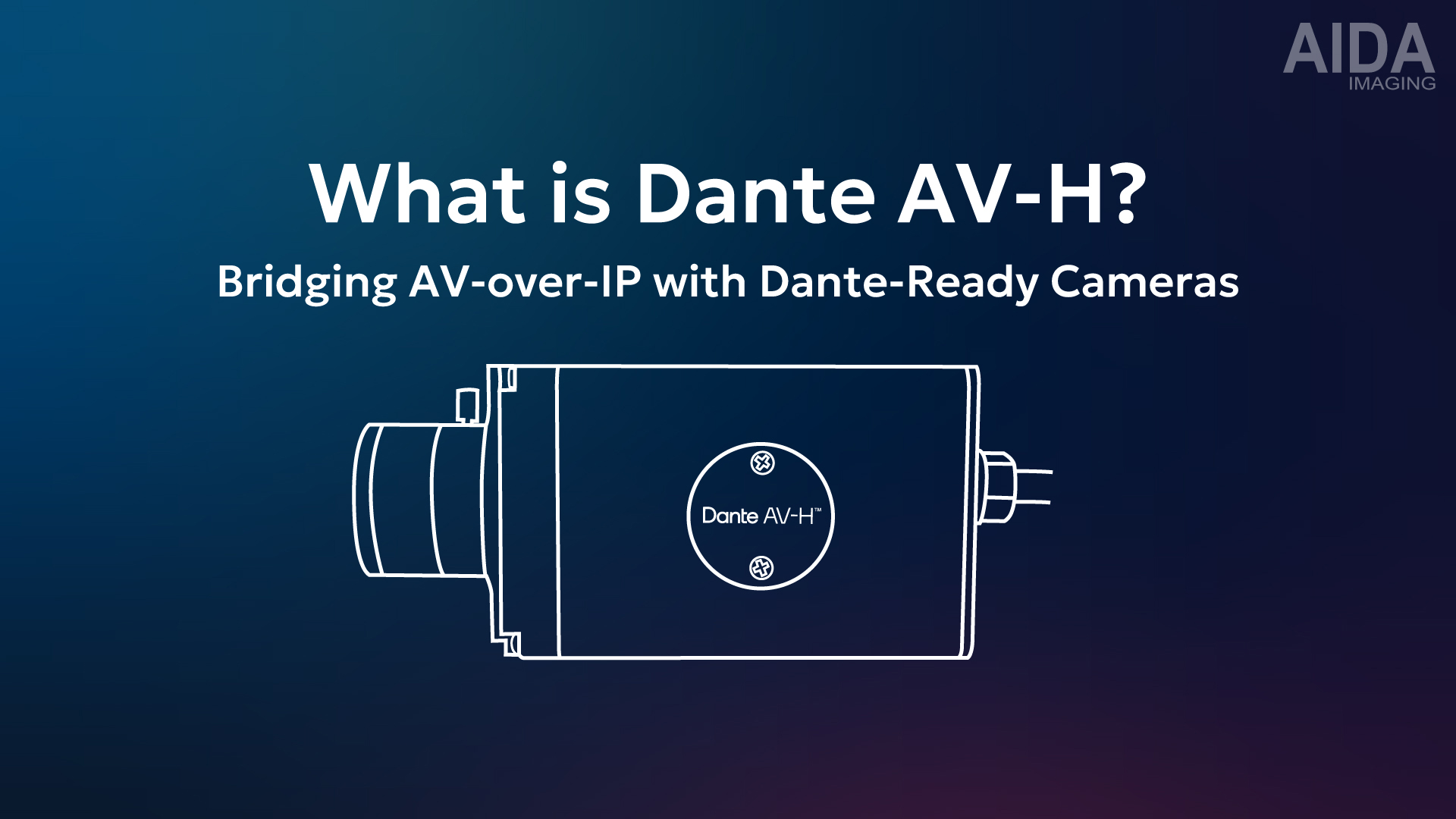 Dante AV-H là gì?