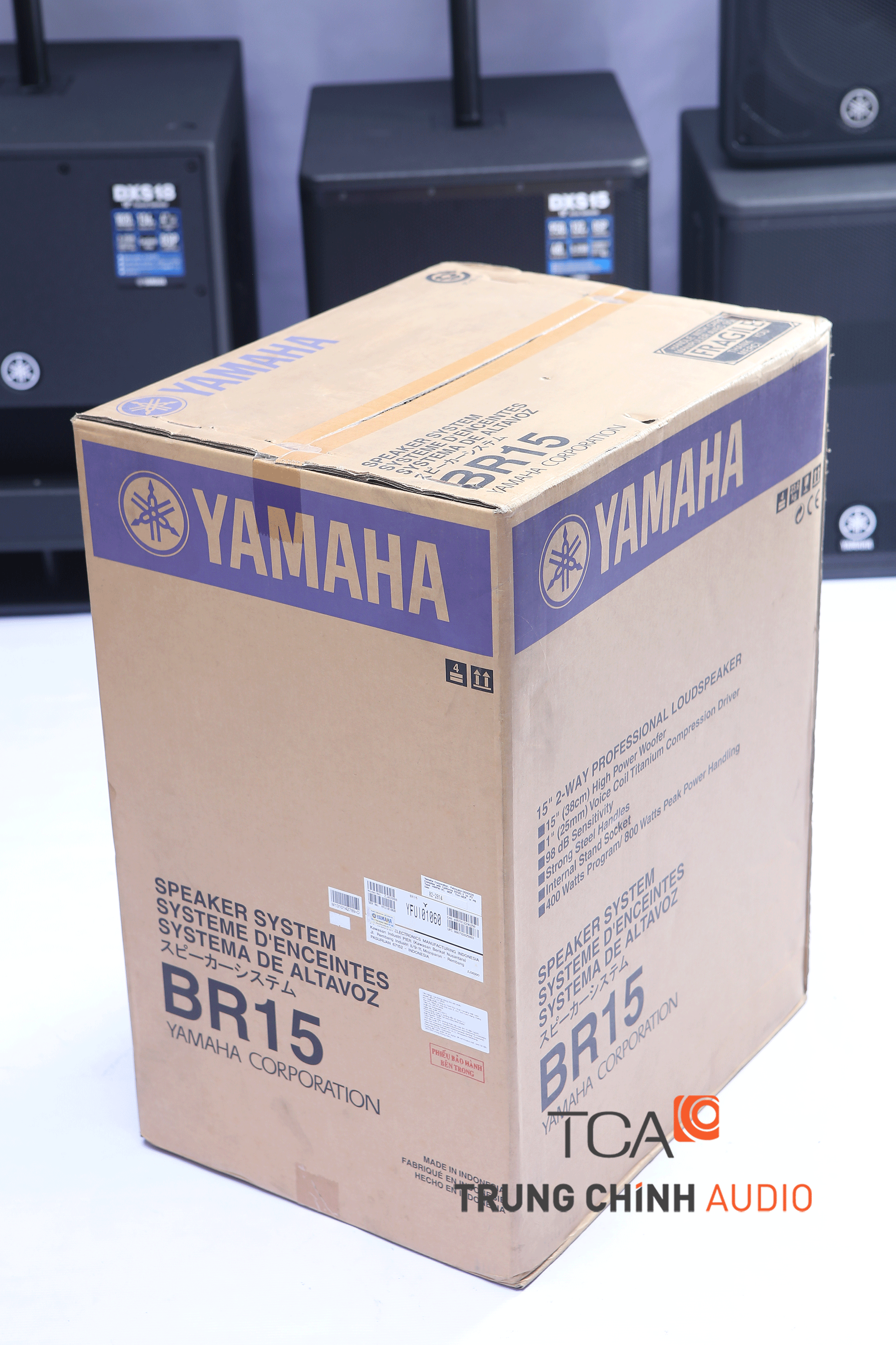 Loa sân khấu Yamaha BR15