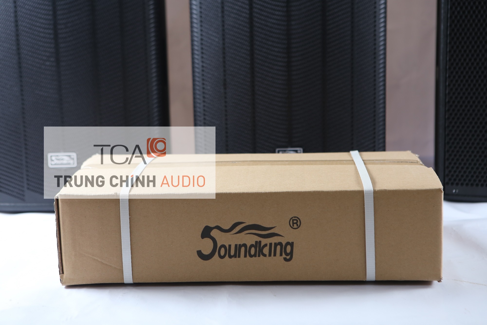 Crossover Soundking SX-2310
