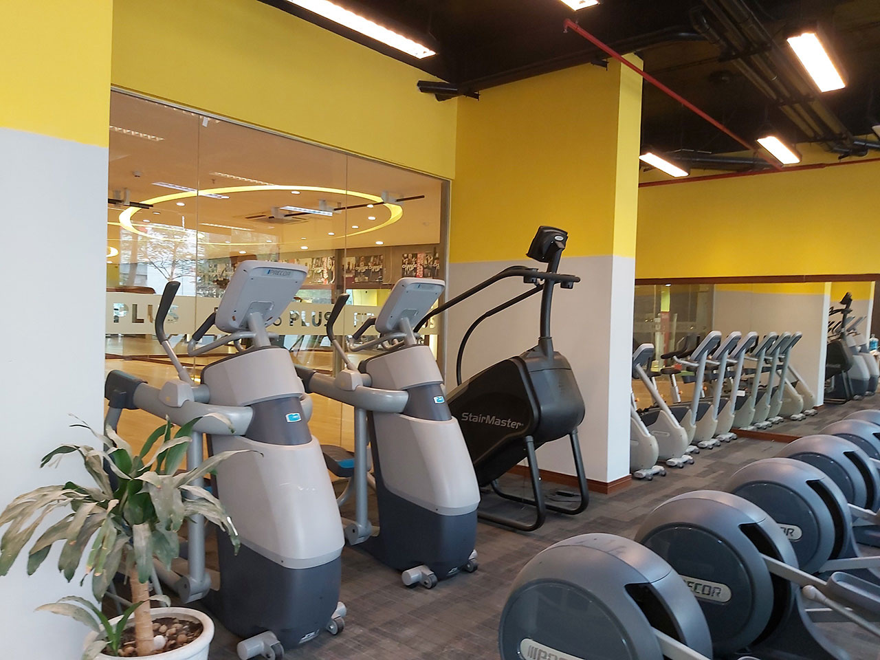 Âm thanh phòng tập thể dục thể hình: GYM Fitness Plus