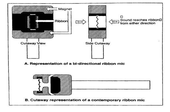 mô hình định hướng cơ bản của micrô ribbon cổ điển